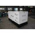 Lovol Engine 1003TG 30 kW Disary Generator